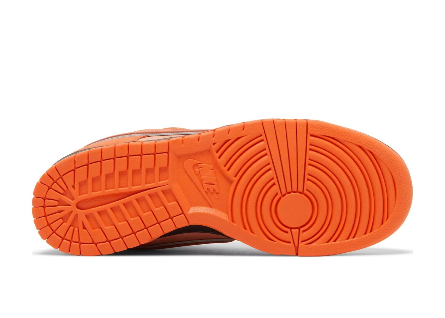 nike sb dunk low concepts orange lobster4