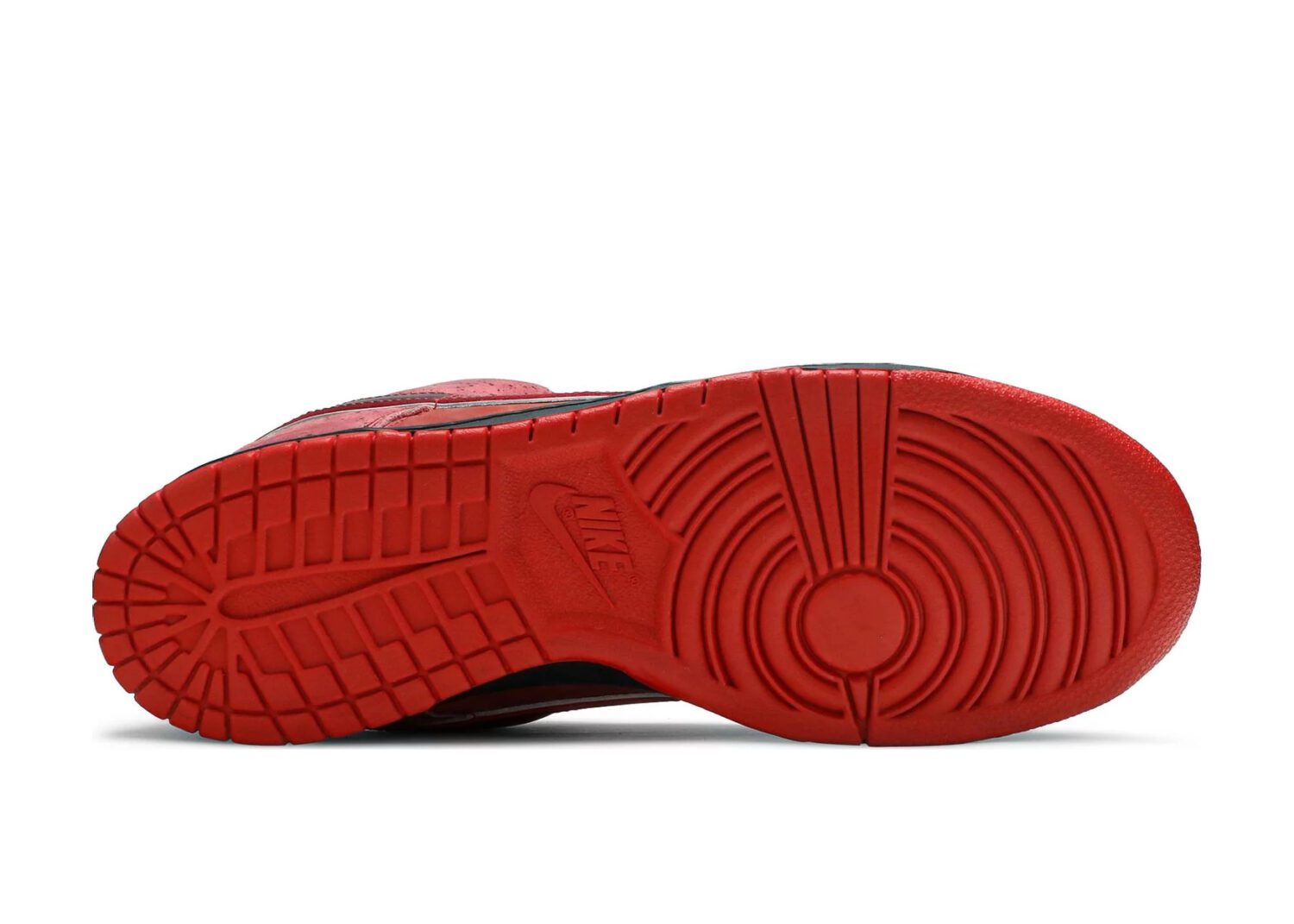 nike sb dunk low concepts red lobster4