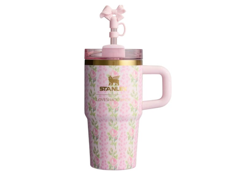 stanley x loveshackfancy flowstate quencher 20oz tumbler pastel blue