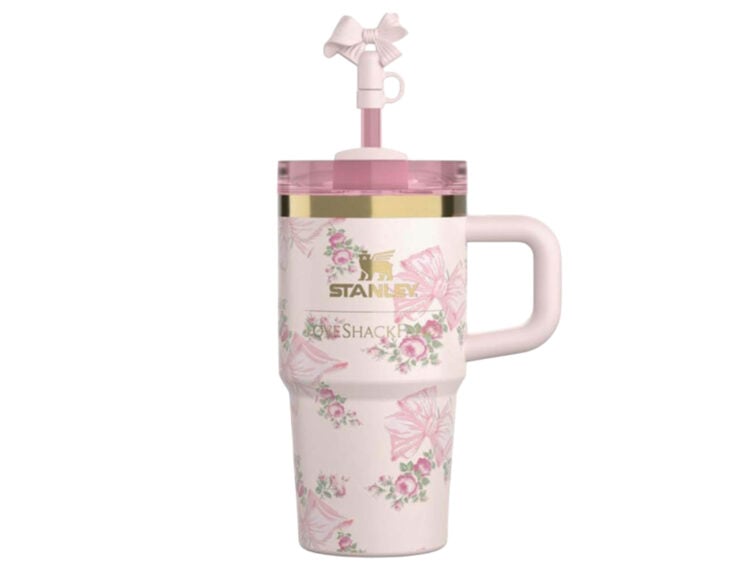 stanley x loveshackfancy flowstate quencher 20oz tumbler pastel blue
